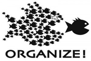 Organize fishes