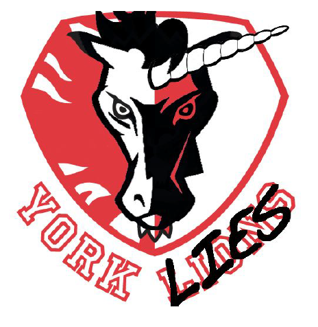 A unicorn stylized like the York Lions mascot, with the words "York Lies". Members dubbed this proposed model "the unicorn".